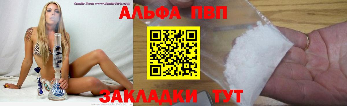 A PVP СК Мыски