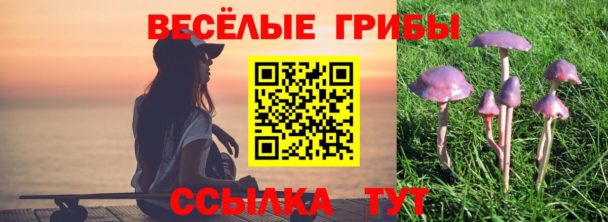 Псилоцибиновые грибы GOLDEN TEACHER  Вход с VPN  где продают наркотики  Мыски 
