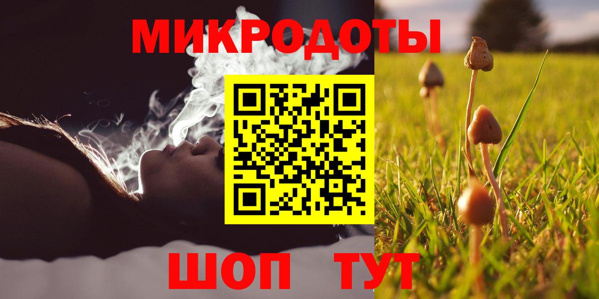 Псилоцибиновые грибы Cubensis Мыски
